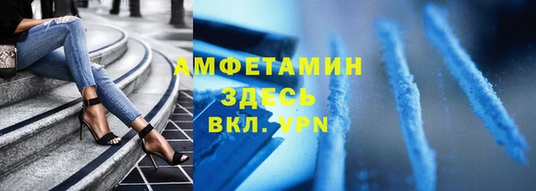 крисы Надым