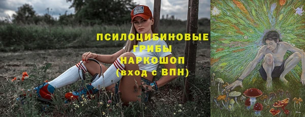 крисы Надым