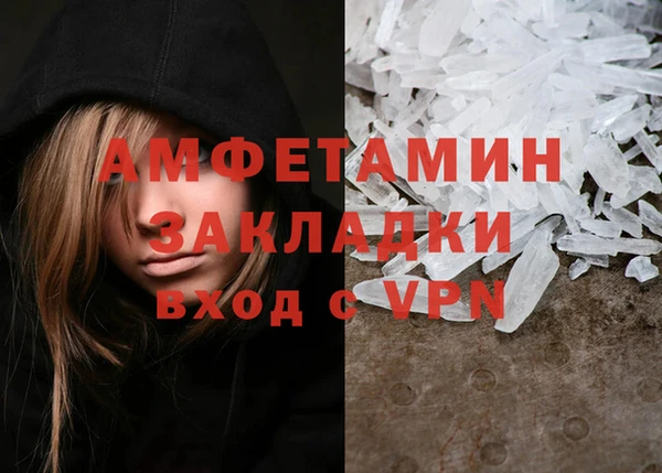 крисы Надым
