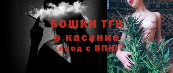 крисы Надым