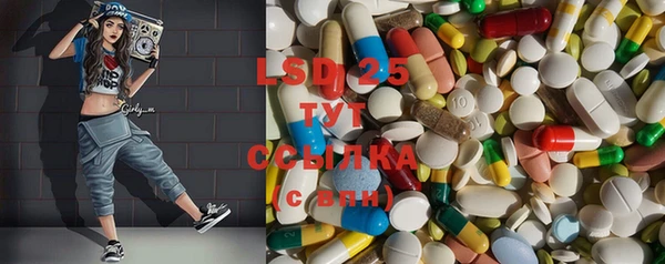 крисы Надым